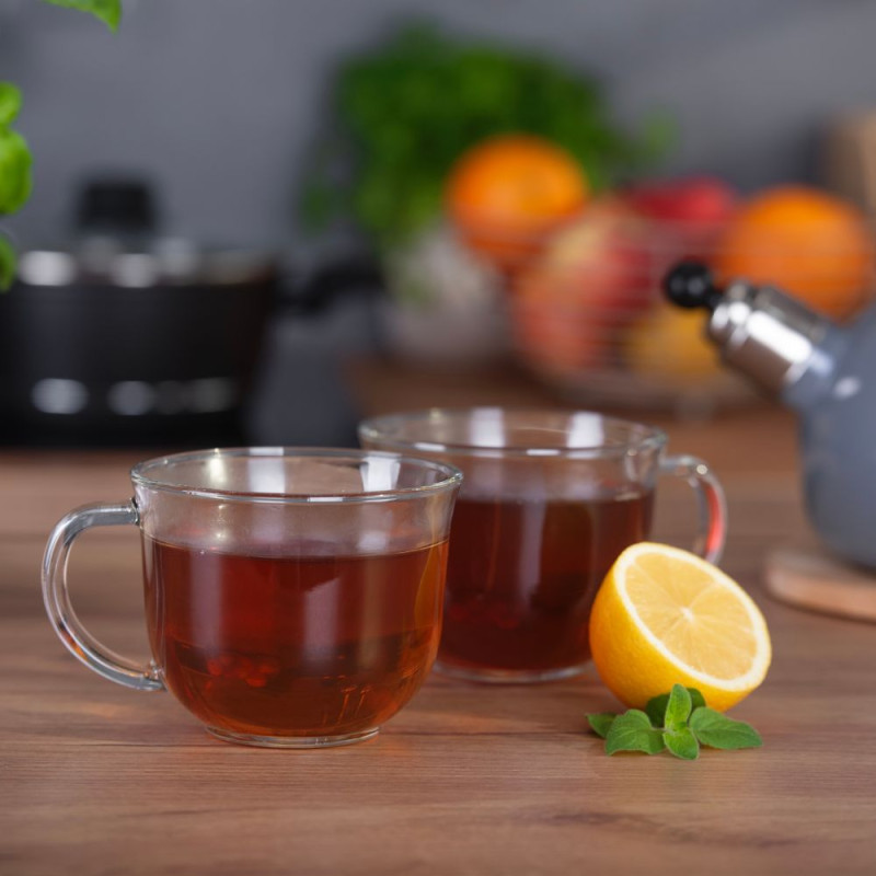 Kubek LEO 480ml 29116 (tacka 6 sztuk)