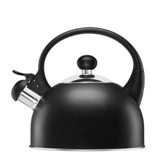 Czajnik nierdzewny MOLLY 1,7l  26741 antracyt