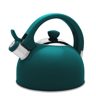 Czajnik nierdzewny MOLLY 1,7l  26741 zielony