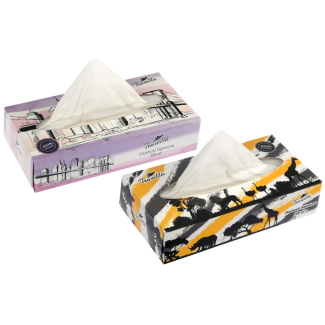 Chusteczki higieniczne 2-warstwowe box 100 szt. 10342