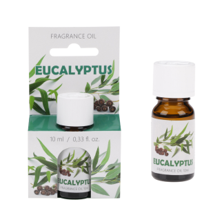 Olejek zapachowy 10 ml 96405 Eukaliptus