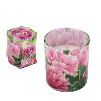 Świeca zapachowa VERONA 66412 Piwonia