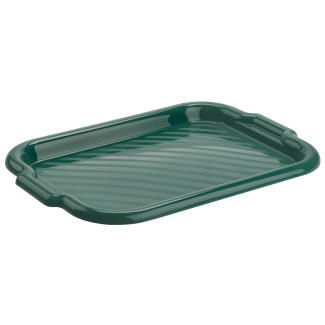 Taca prostokątna MOLLY 40x28cm 20181 zielony