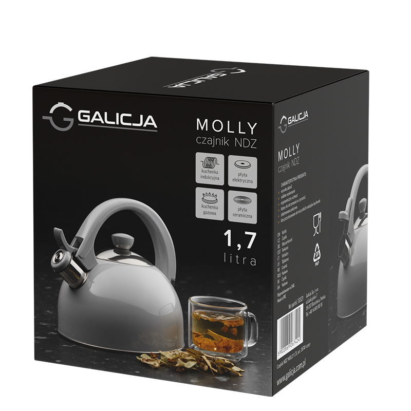 Czajnik nierdzewny na gaz indukcję 1,7L szary Molly sklep Galicja